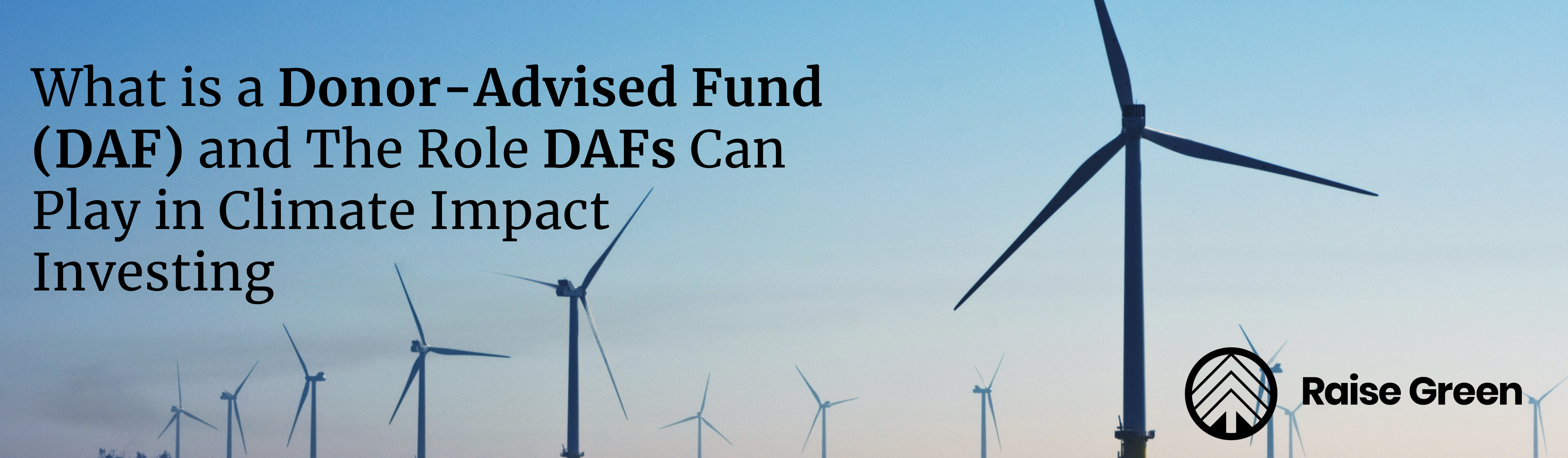 What is a Donor-Advised Fund (DAF) and The Role DAFs Can Play in Climate Impact Investing